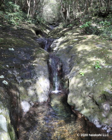 登龍峠・ポットホール・裏見ヶ滝　苔の森散策